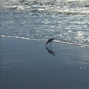 Meet your Posher, Jordyn